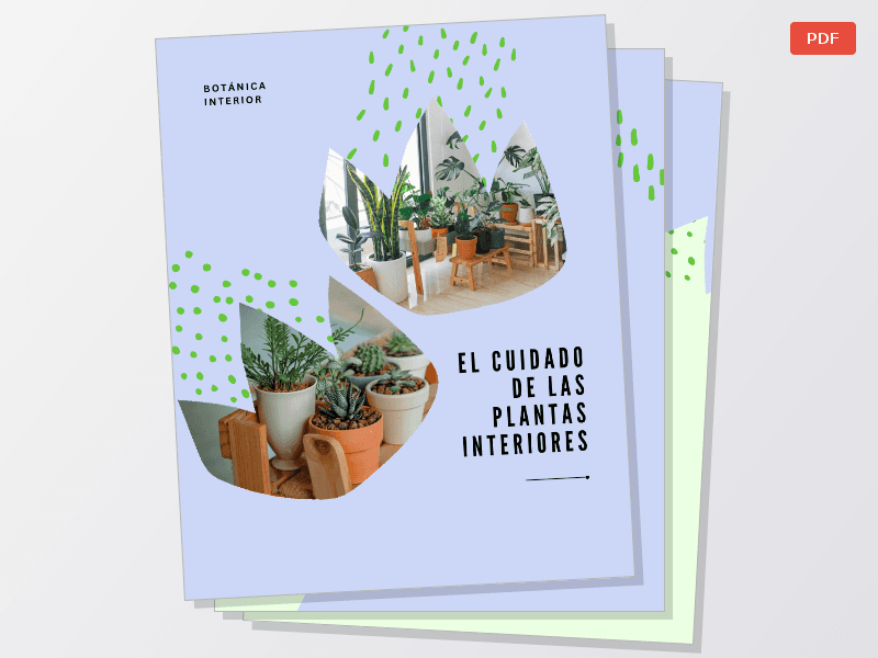 Guía Práctica de Botánica para Plantas de Interior — Documentos