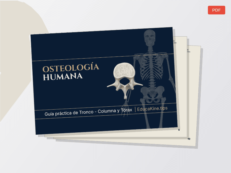 Osteo Columna + Tórax — Documentos