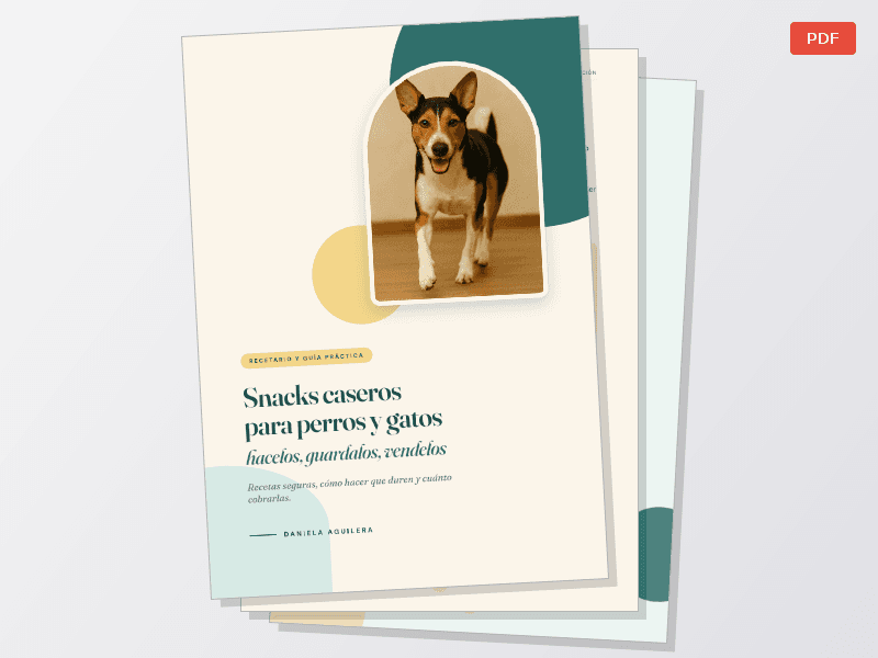 Snacks caseros para perros y gatos