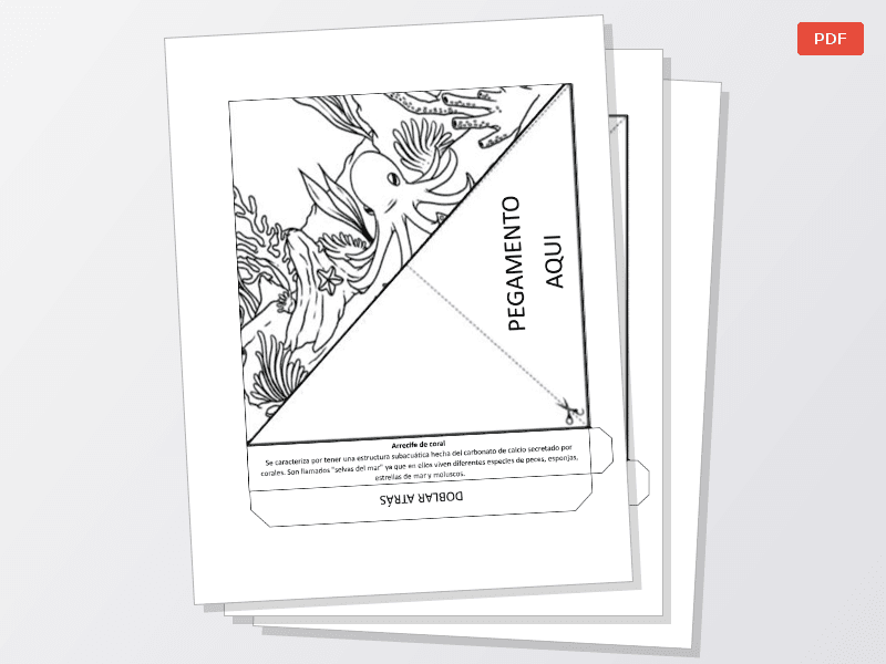 Los ecosistemas - imagen 1