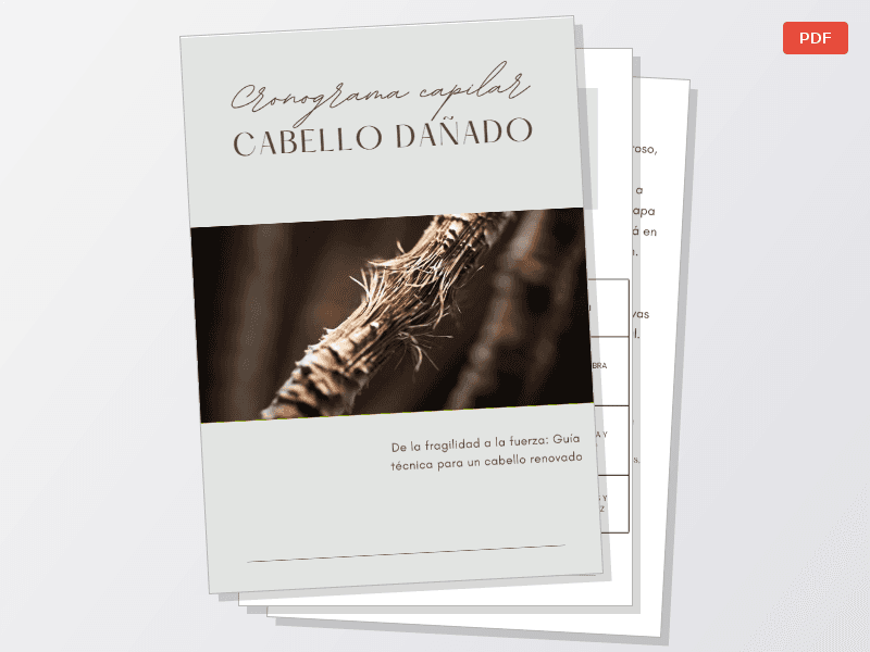 Guía capilar para cabello dañado + una Guía de productos de regalo — Documentos