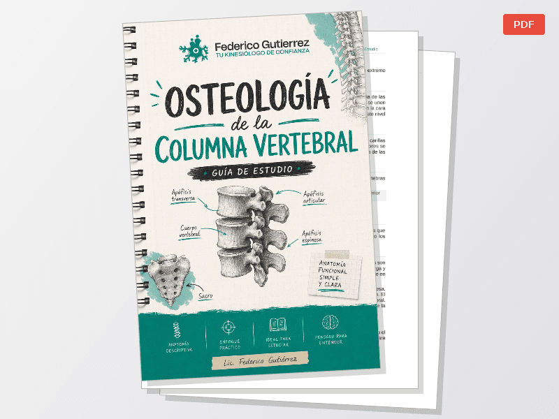 Osteologia de Miembro Superior — Documentos