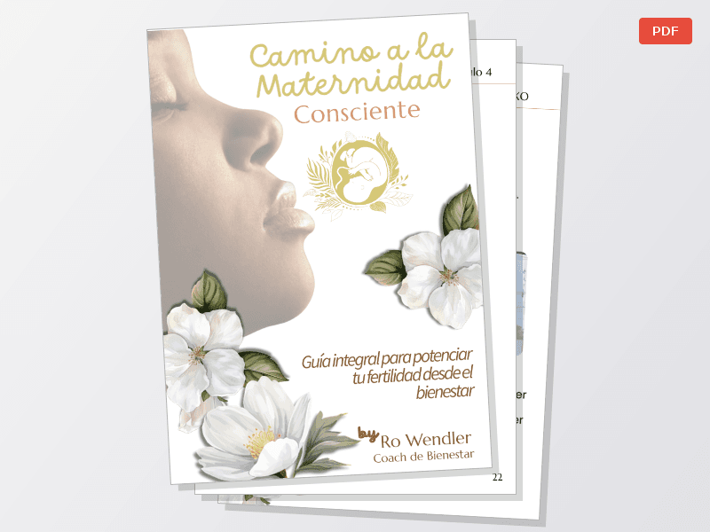 E-book Digital "Camino a la Maternidad Consciente" — Documentos