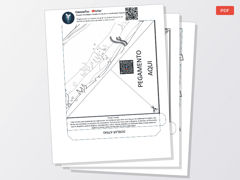 Plantilla de ecosistemas - imagen 1