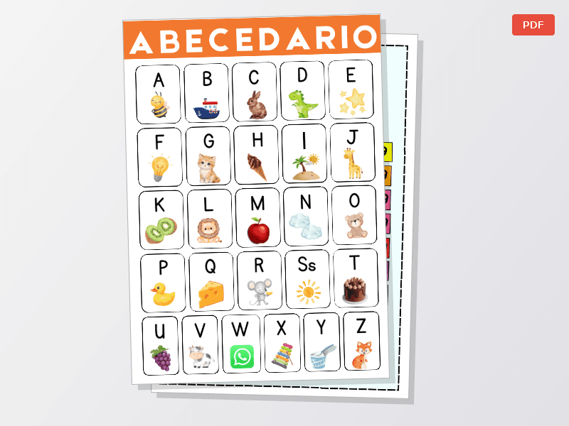 Portador individual  — Documentos