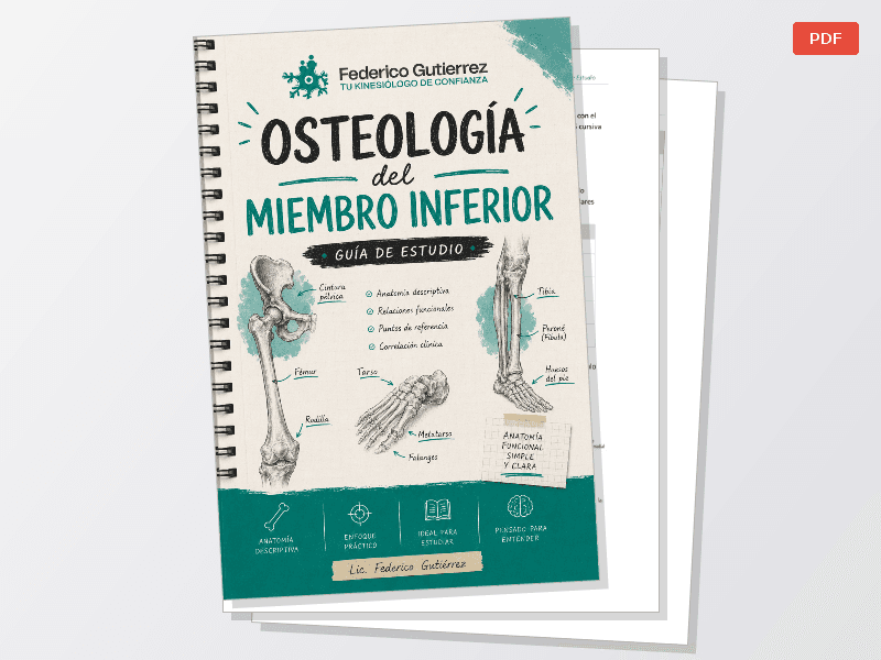 Osteología de Miembro Inferior — Documentos
