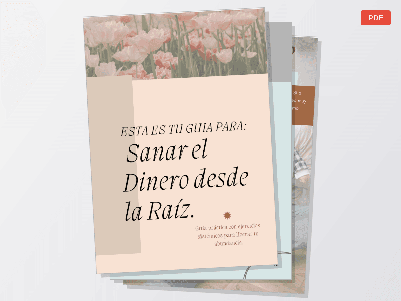 Guia para sanar tu relacion con el dinero (mirada sistemica) — Documentos