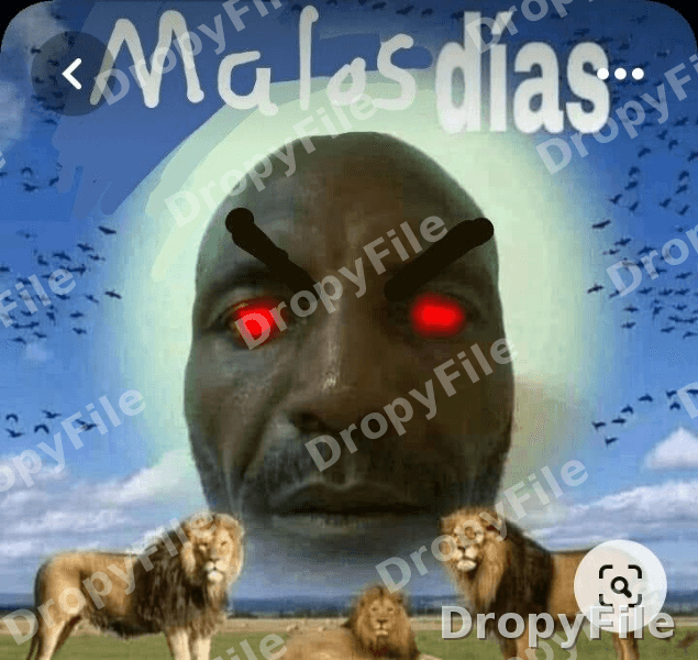 Meme  — Fotografía