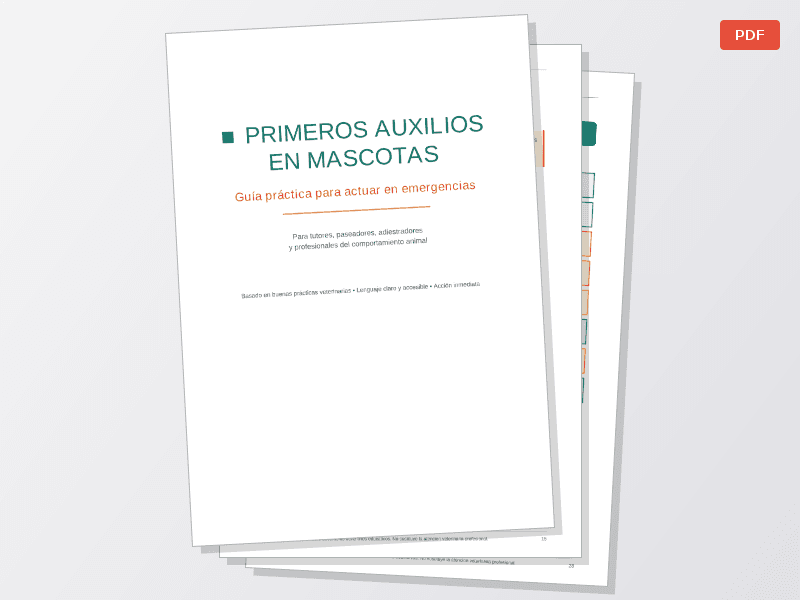 Primeros auxilios en tu mascota - imagen 1