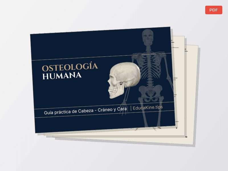 Osteología de Cráneo — Documentos