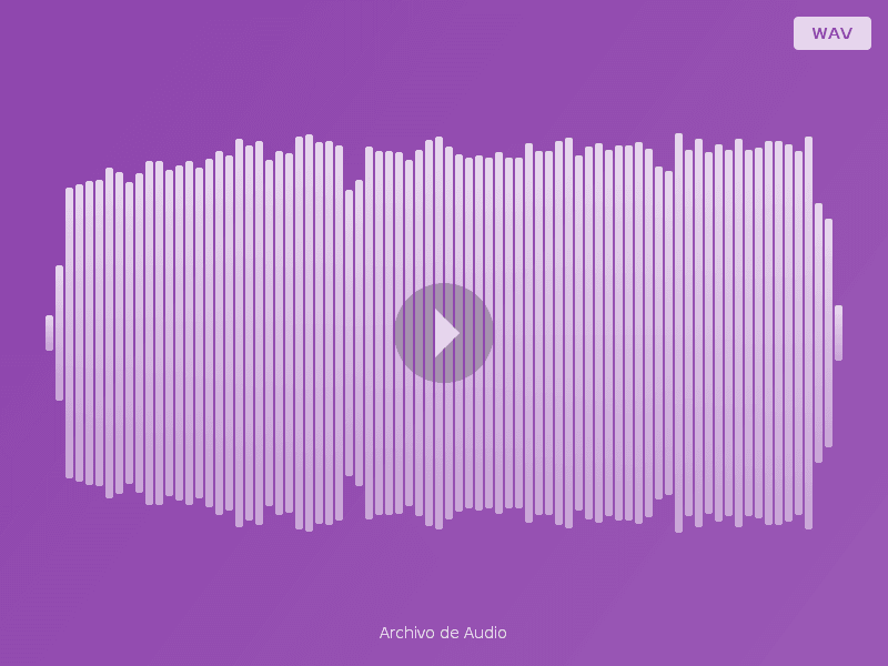 El Universo Antrópico — Audio