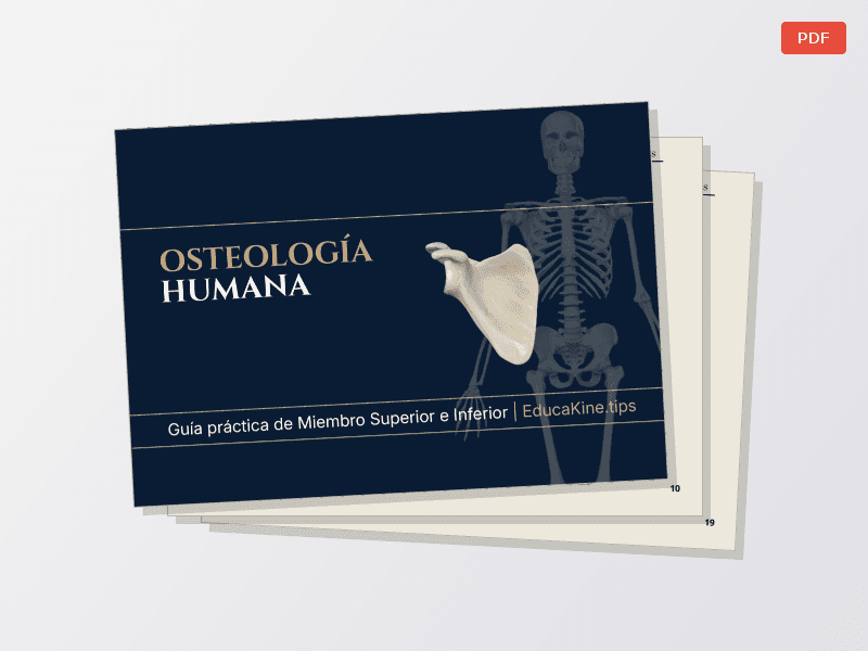 Osteología de Miembro Superior e Inferior - imagen 1