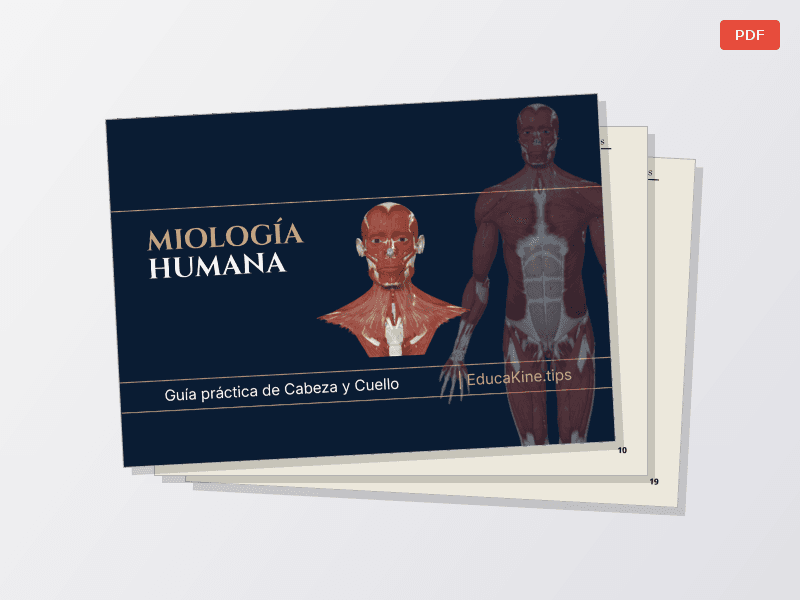 Miología de Cabeza y Cuello — Documentos