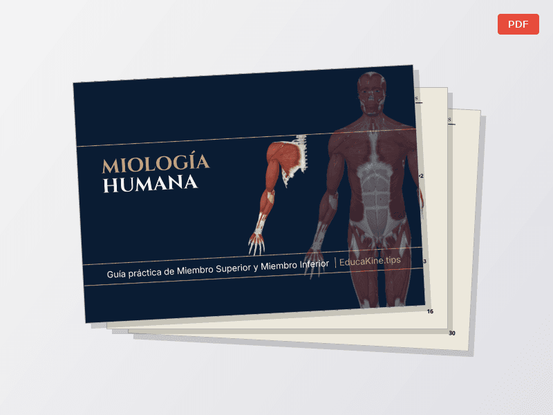 Miología de Miembros — Documentos